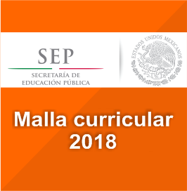 Malla curricular 2018